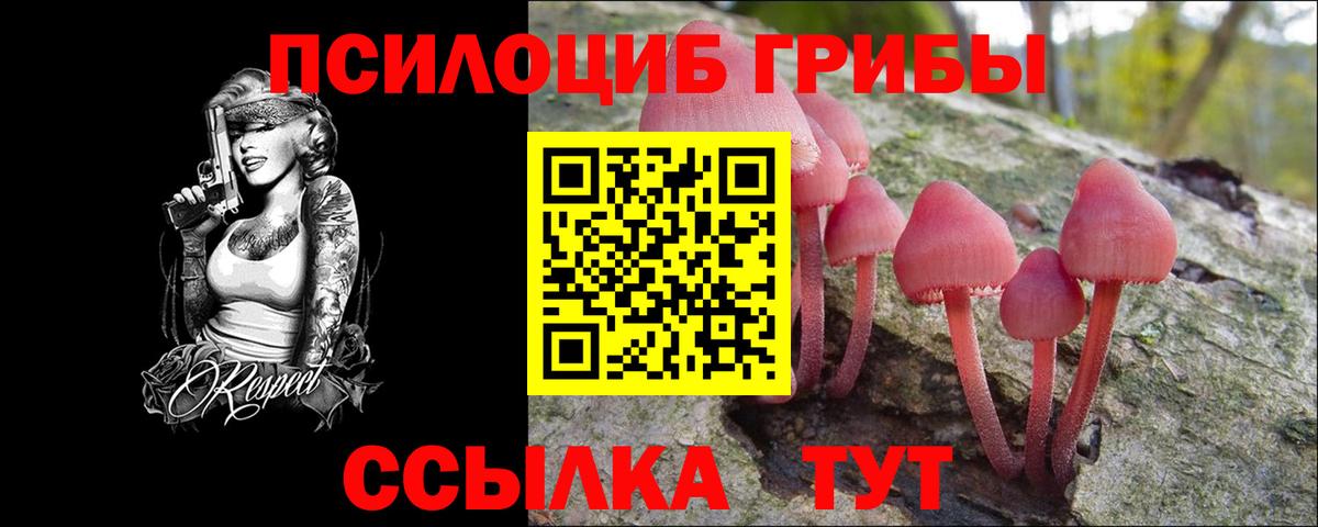 Псилоцибиновые грибы Psilocybine cubensis Новодвинск